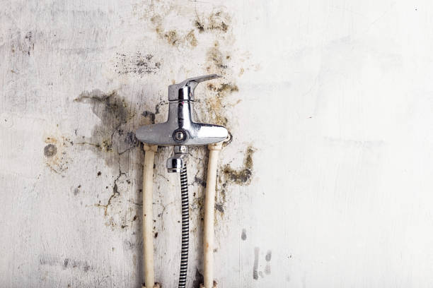 Best Mold Removal Near Me  in Vista Santa Rosa, CA
