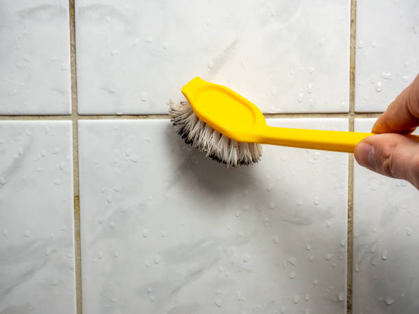  Vista Santa Rosa, CA Mold Removal Pros