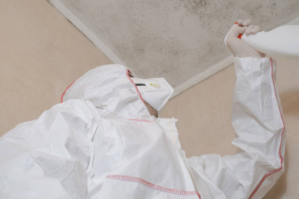 Best Office Mold Removal Services  in Vista Santa Rosa, CA